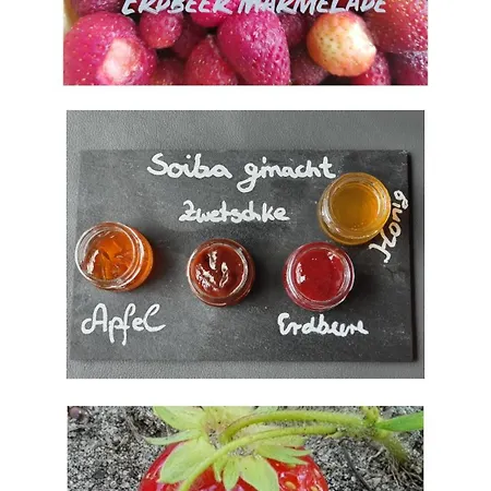 Couette-café Gaestehaus Alpenkranz