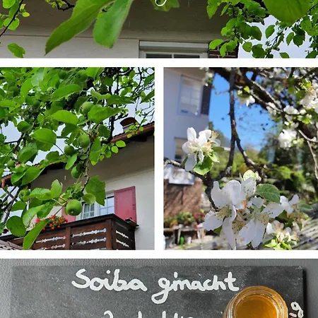 Gaestehaus Alpenkranz Couette-café 3*