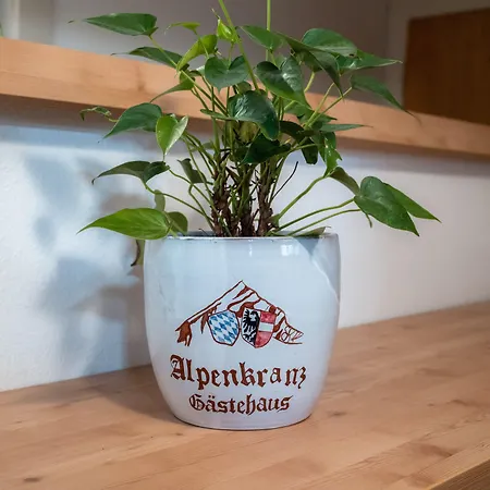 Gaestehaus Alpenkranz 3* Garmisch-Partenkirchen