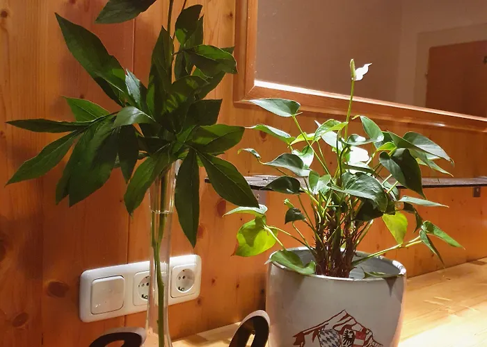 Gaestehaus Alpenkranz Bed and Breakfast 3*