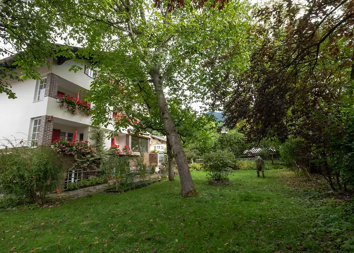 Gaestehaus Alpenkranz 3*