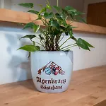 Gaestehaus Alpenkranz 3* Garmisch-Partenkirchen