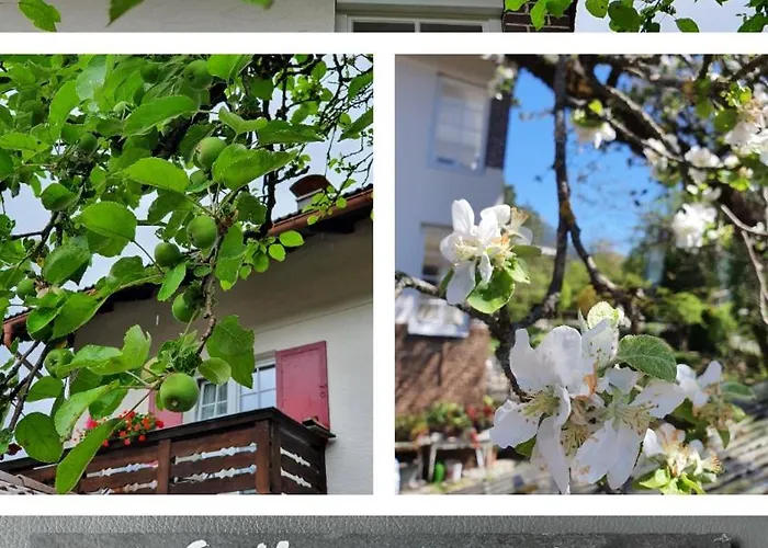 Gaestehaus Alpenkranz Oda ve Kahvaltı 3*